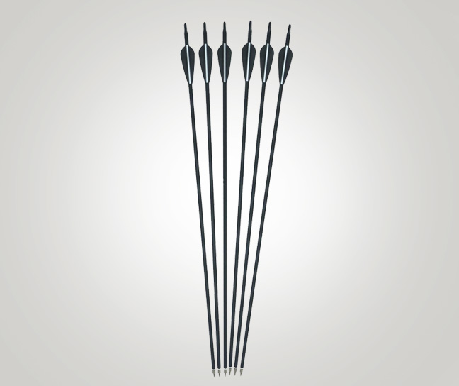 Archery Cane Arrows 6 Arrow